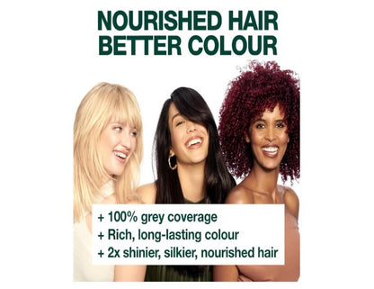 Garnier Nutrisse Permanent Hair Colour 3.23 Dark Quartz Brown