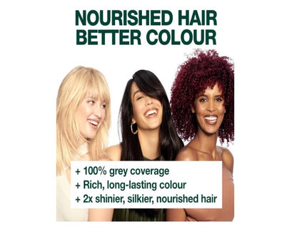 Garnier Nutrisse Permanent Hair Colour 9.13 Natural Light Ash Blonde