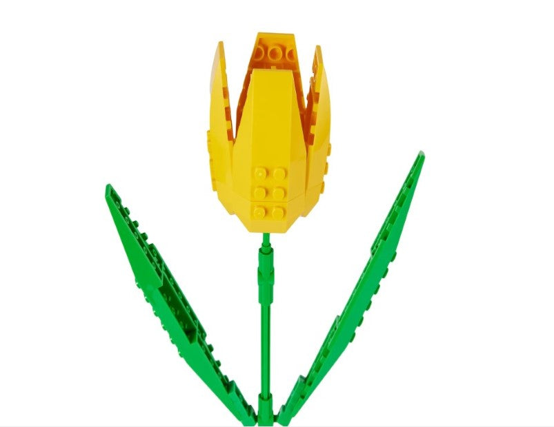 Flower Construction Kit - Assorted