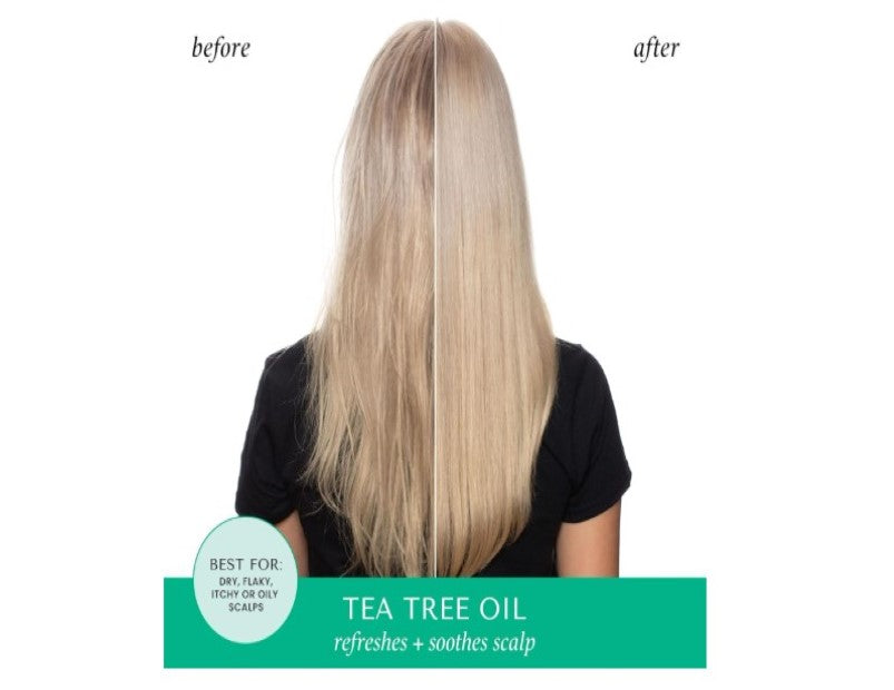 HASK Tea Tree Oil Shampoo for all hair types, colour safe, gluten-free, sulfate-free, paraben-free - 1 355mL Bottle