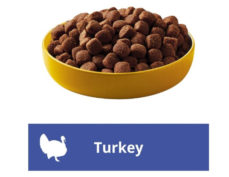 PEDIGREE Adult 7+ Dry Dog Food With Real Turkey 3kg Bag, 4 Pack