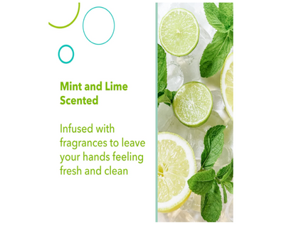 Allyu Antibacterial Foaming Hand Wash Soap - Lime and Mint - 250mL - 2 Pack