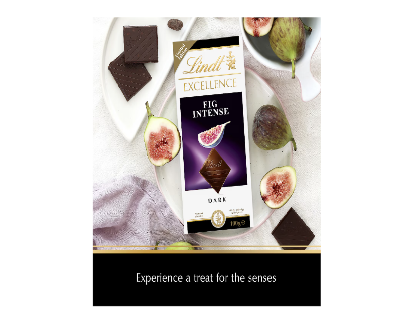 Lindt Excellence Fig Intense Dark Chocolate Block 100g - 2 Pack