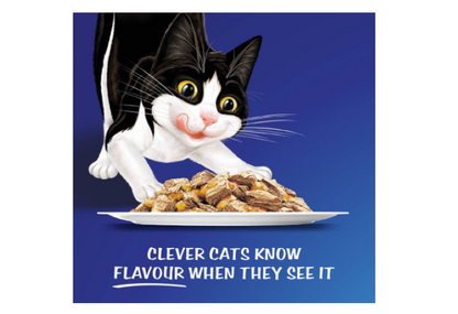 FELIX | As Good As It Looks Adult Wet Cat Food Favourites Selection - 60x85g