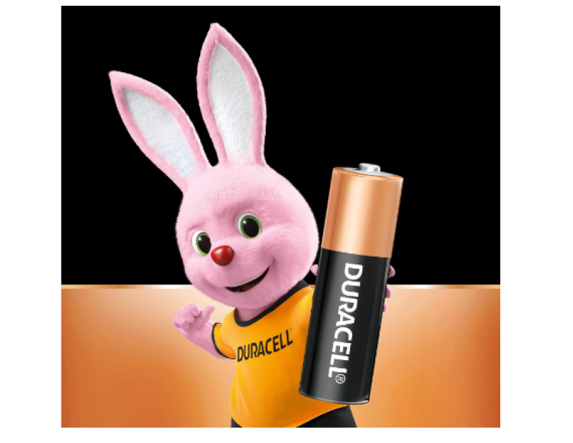 Duracell | Coppertop - AA 20 Pack Batteries