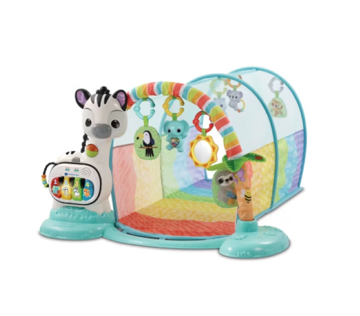 VTech | Baby 6-in-1 Playtime Tunnel