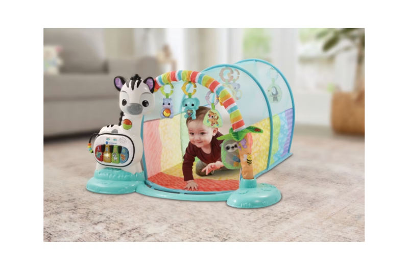 VTech | Baby 6-in-1 Playtime Tunnel