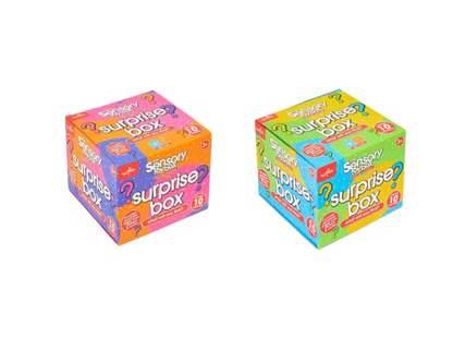 ToyMania | The Sensory Toy Box Surprise Box - Assorted