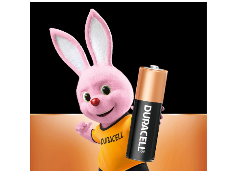 Duracell | Coppertop - AA 50 Pack Batteries