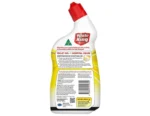 Toilet Cleaner Gel